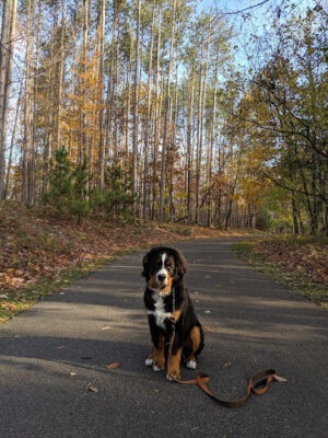 Amherst Beaver Creek Reservation