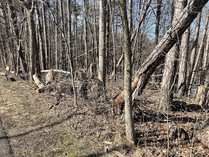 Amherst Beaver Creek Reservation - Amherst, OH