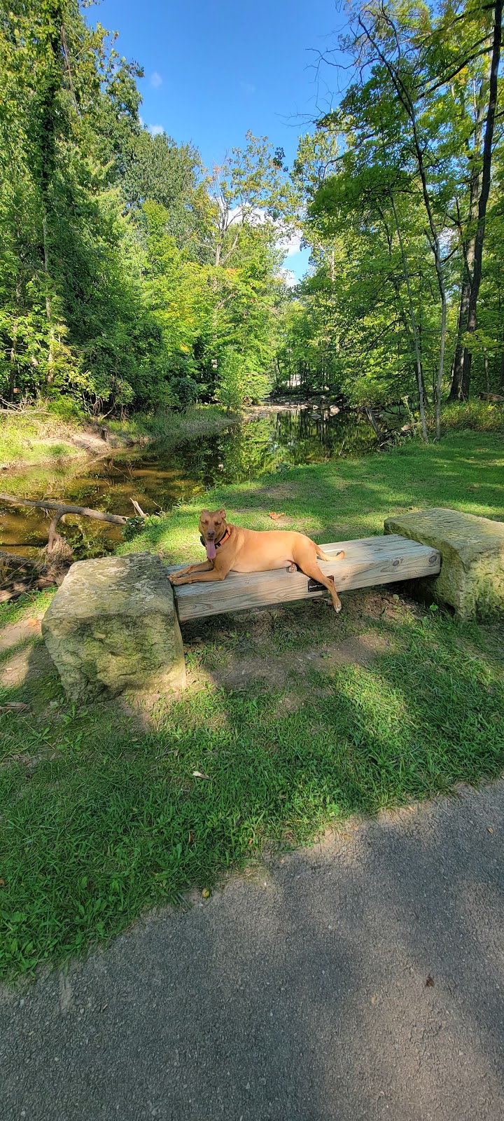 Beaver Creek Trail End - Amherst, OH