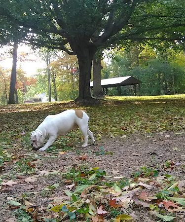 Maude Neiding Memorial Park