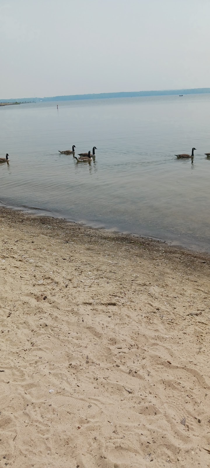 Andover Beach - Pymatuning State Park - Ohio - Andover, OH