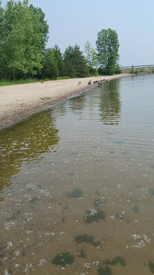 Andover Beach - Pymatuning State Park - Ohio