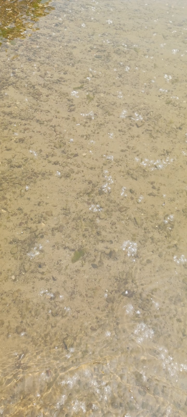 Andover Beach - Pymatuning State Park - Ohio - Andover, OH