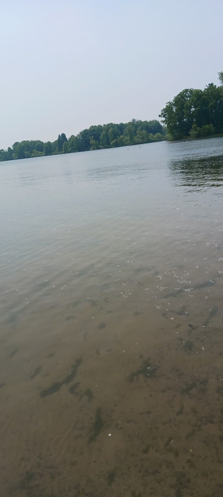 Andover Beach - Pymatuning State Park - Ohio - Andover, OH