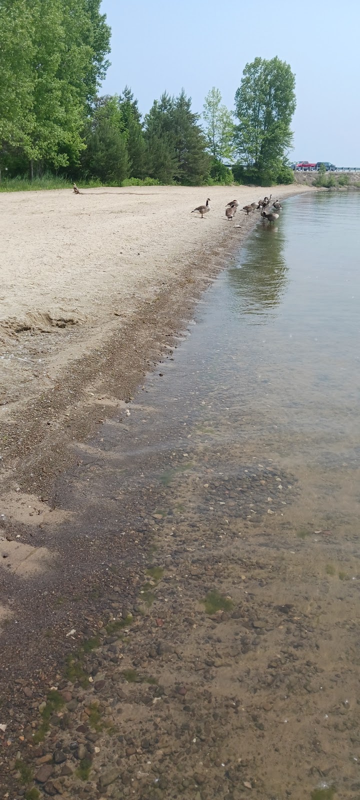 Andover Beach - Pymatuning State Park - Ohio - Andover, OH