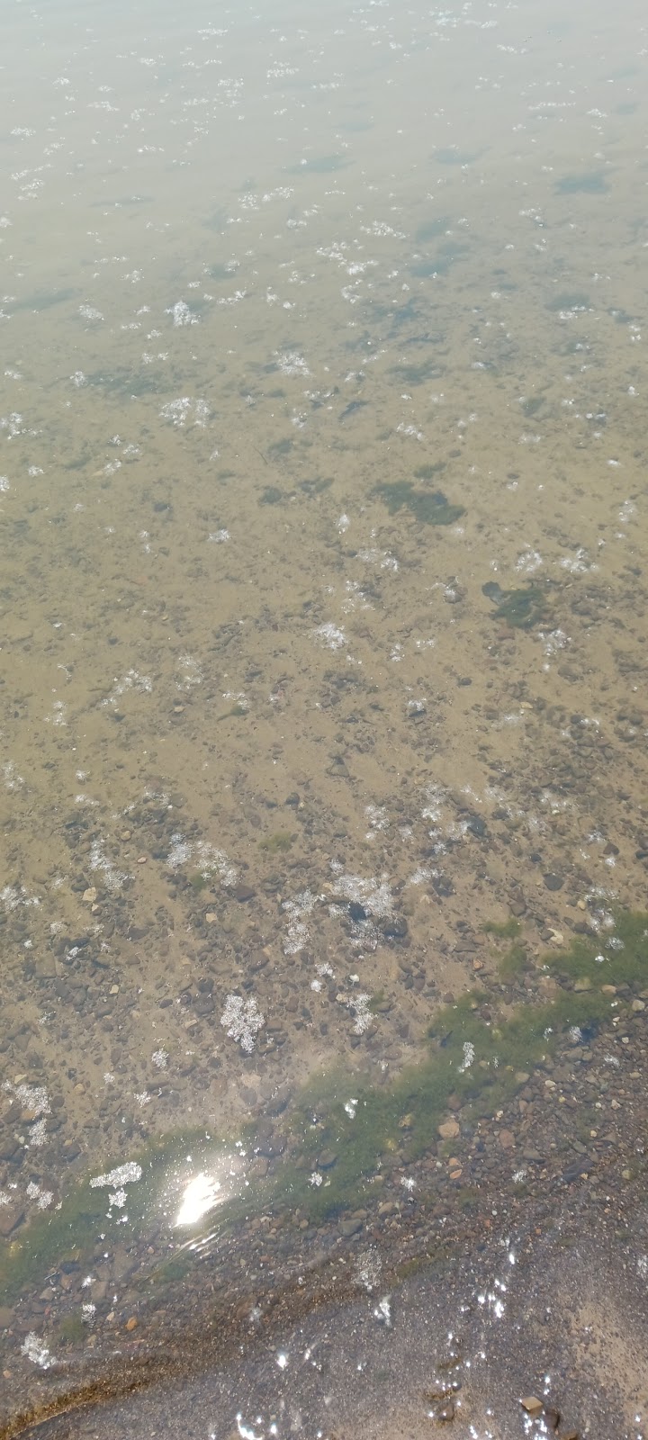 Andover Beach - Pymatuning State Park - Ohio - Andover, OH
