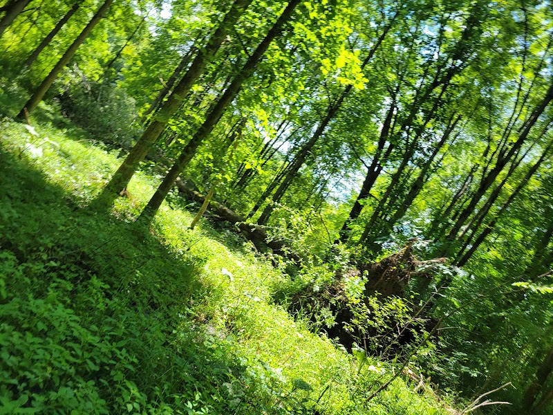 Beaver Dam Trail - Pymatuning State Park - Ohio - Andover, OH