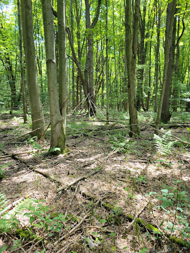 Beaver Dam Trail - Pymatuning State Park - Ohio - Andover, OH