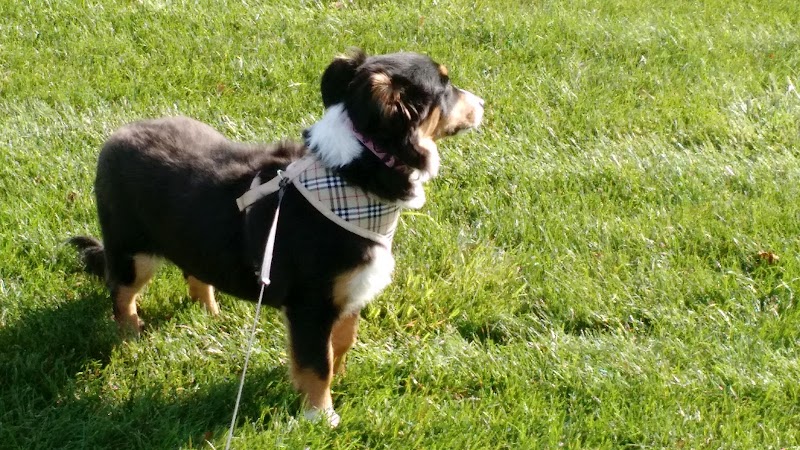 Anna City Park - Anna, OH