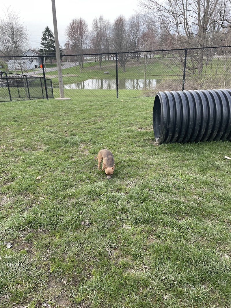 Dog park - Ashland, OH