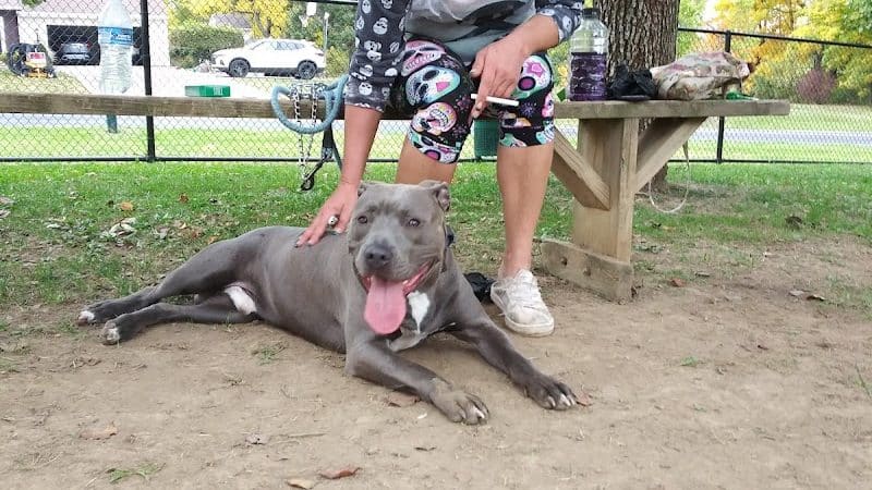 Dog park - Ashland, OH