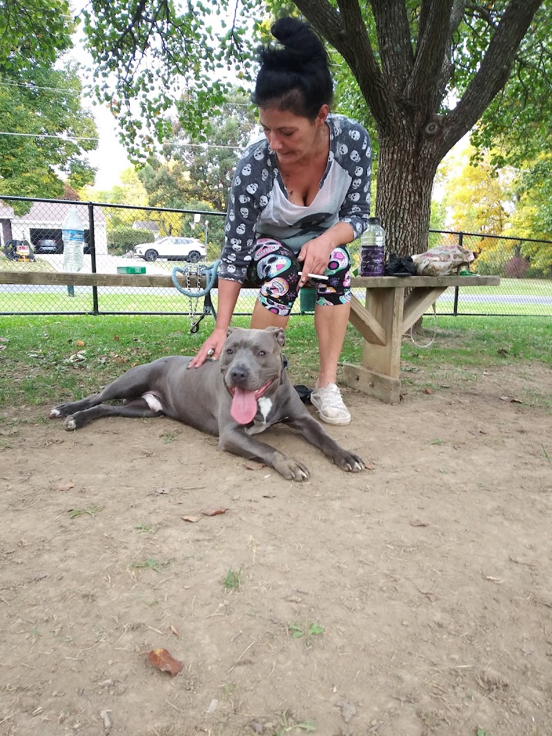 Dog park - Ashland, OH