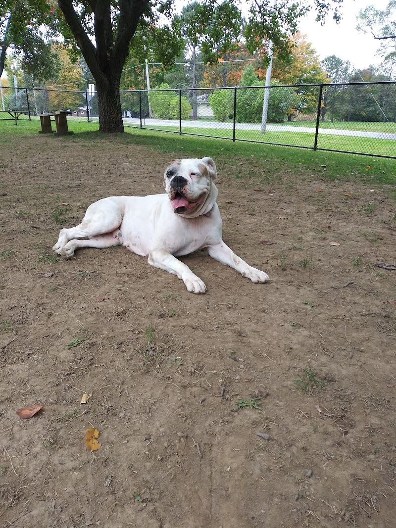 Dog park - Ashland, OH