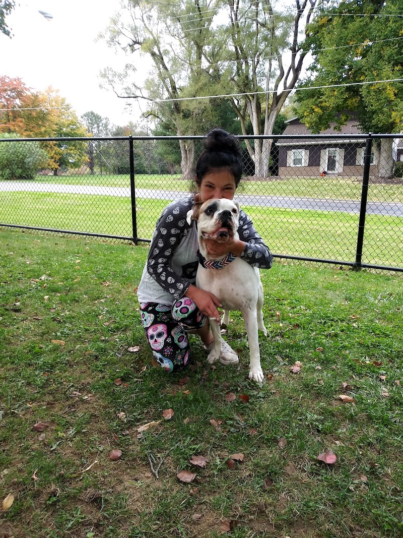 Dog park - Ashland, OH