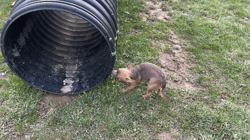 Dog park - Ashland, OH