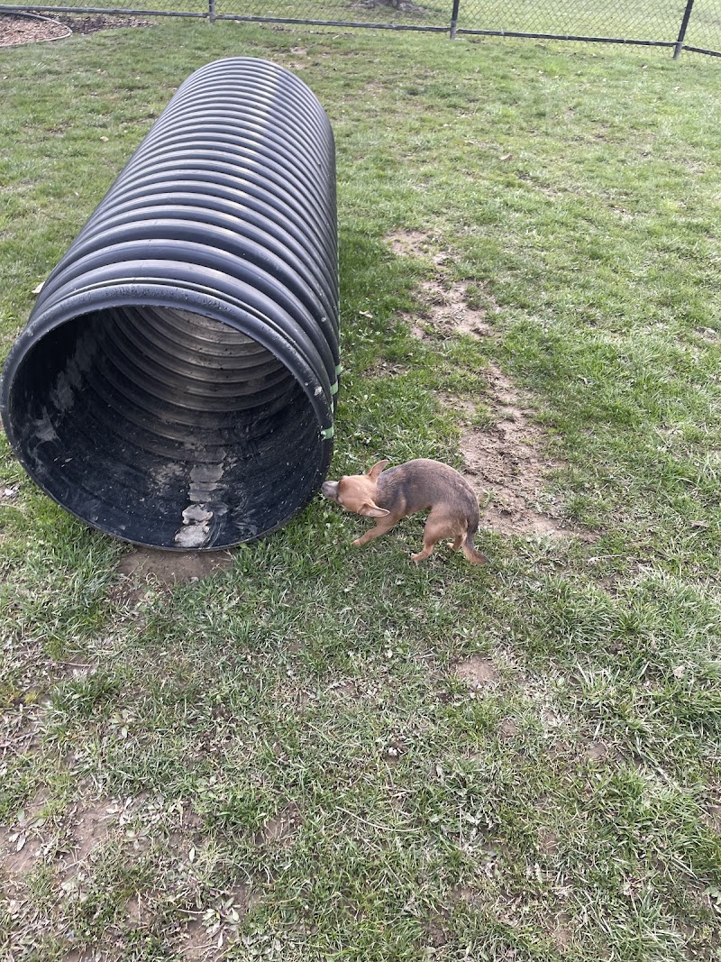 Dog park - Ashland, OH