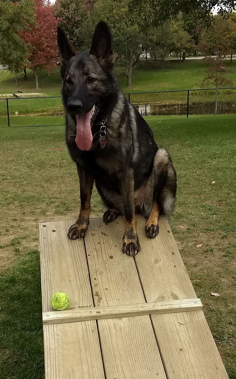 Dog park - Ashland, OH