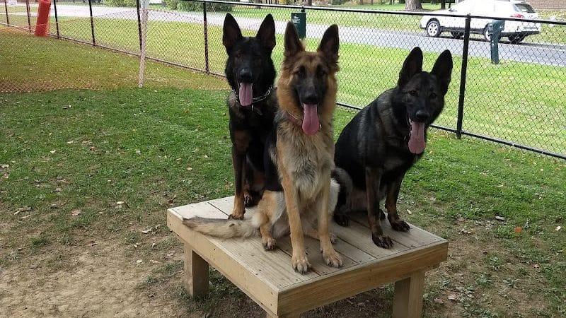 Dog park - Ashland, OH