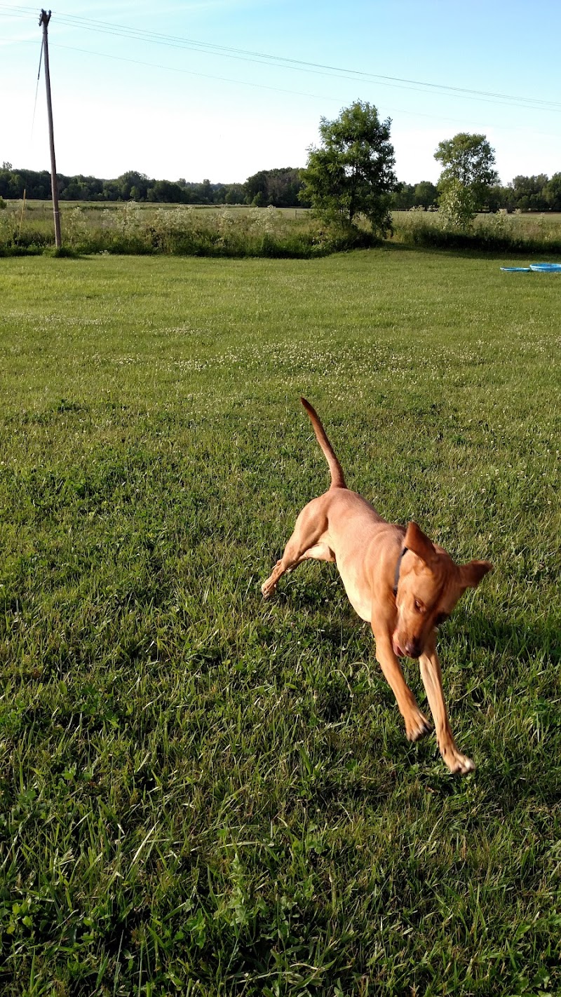 Peppy Paws Pooch Park, LLC - Ashland, OH