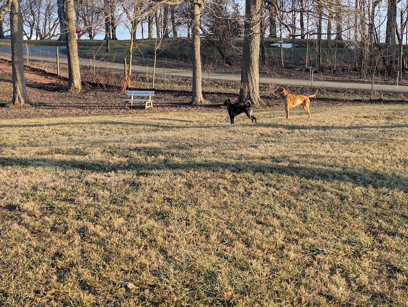 Peppy Paws Pooch Park, LLC - Ashland, OH
