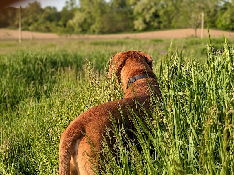 Peppy Paws Pooch Park, LLC - Ashland, OH
