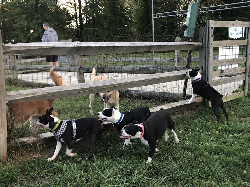 Smith Field Dog Park - Ashtabula, OH