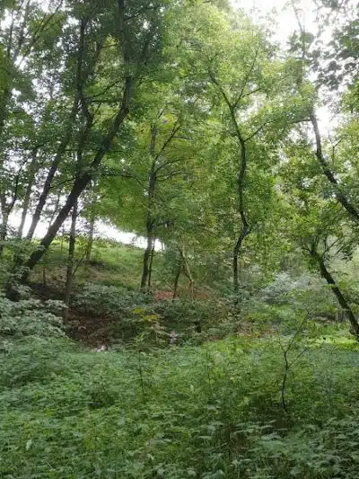 Beaumont-Salina Trailhead - Athens, OH