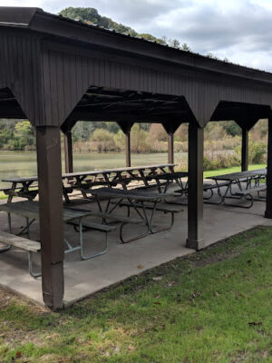 Bulldog Shelter House