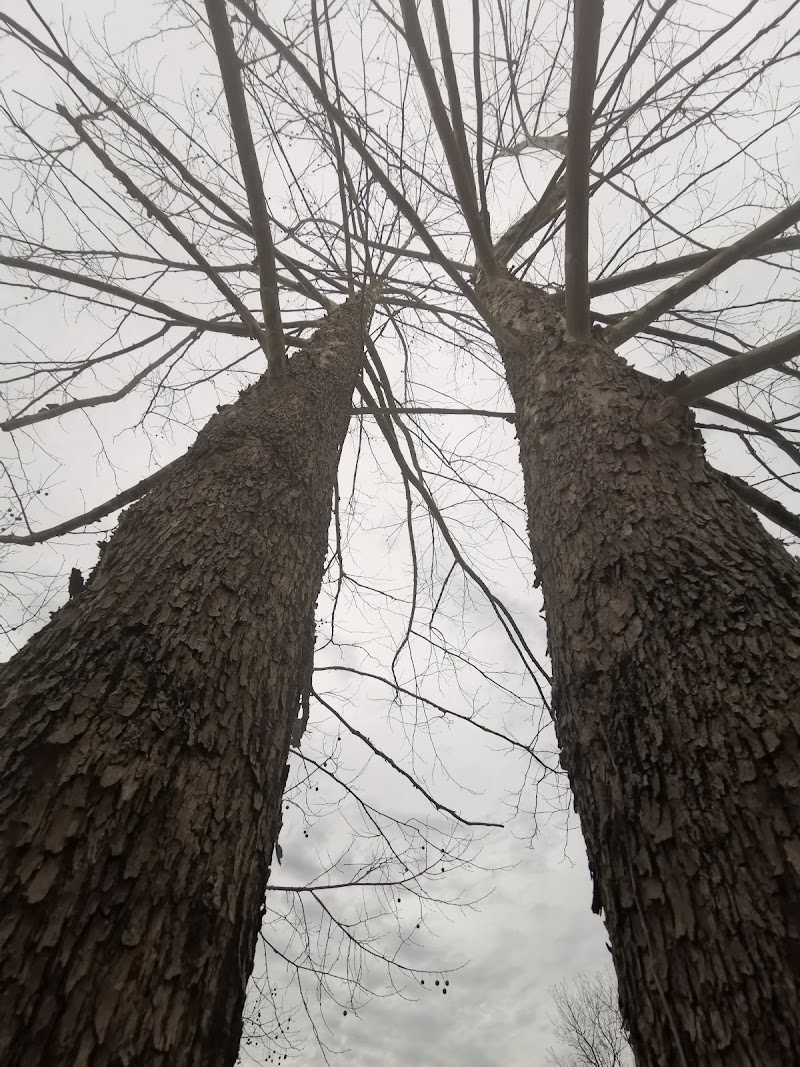 East State Street Dog Park - Athens, OH