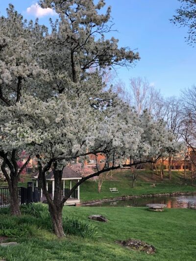 Emeriti Park - Athens, OH