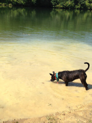 Strouds Run State Park