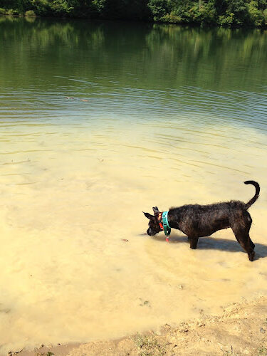 Strouds Run State Park