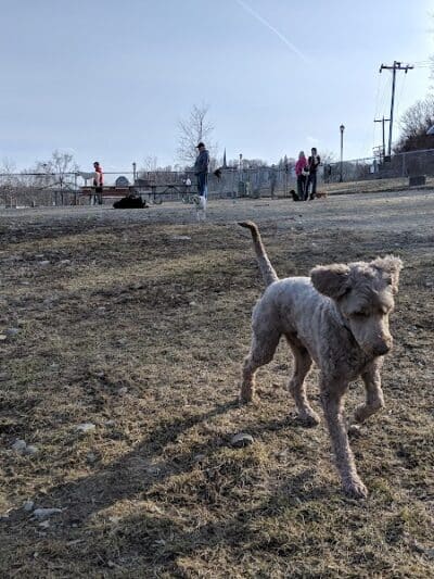 Augusta Dog Park - Augusta, ME
