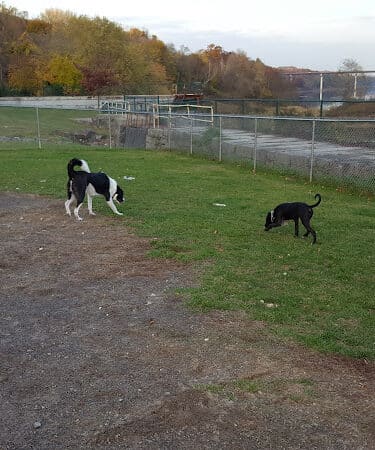 Augusta Dog Park