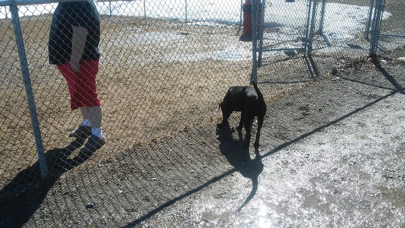 Augusta Dog Park - Augusta, ME