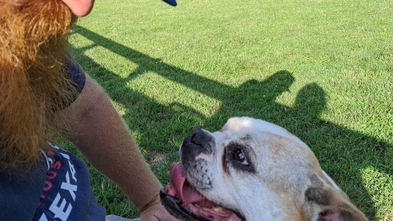Aurora Dog Park - Aurora, IN