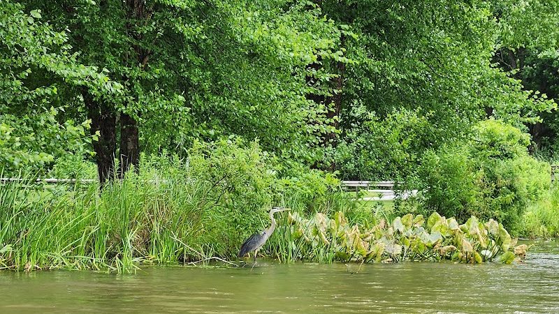 Sunny Lake Park - North End - Aurora, OH