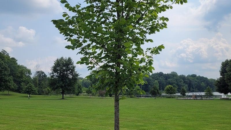 Sunny Lake Park - North End - Aurora, OH