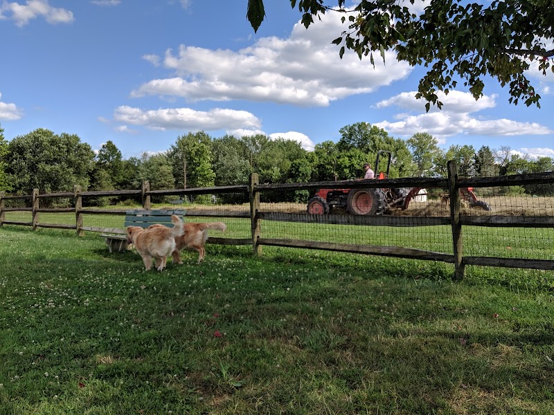 Tails 'n Trails Dog Park - Aurora, OH