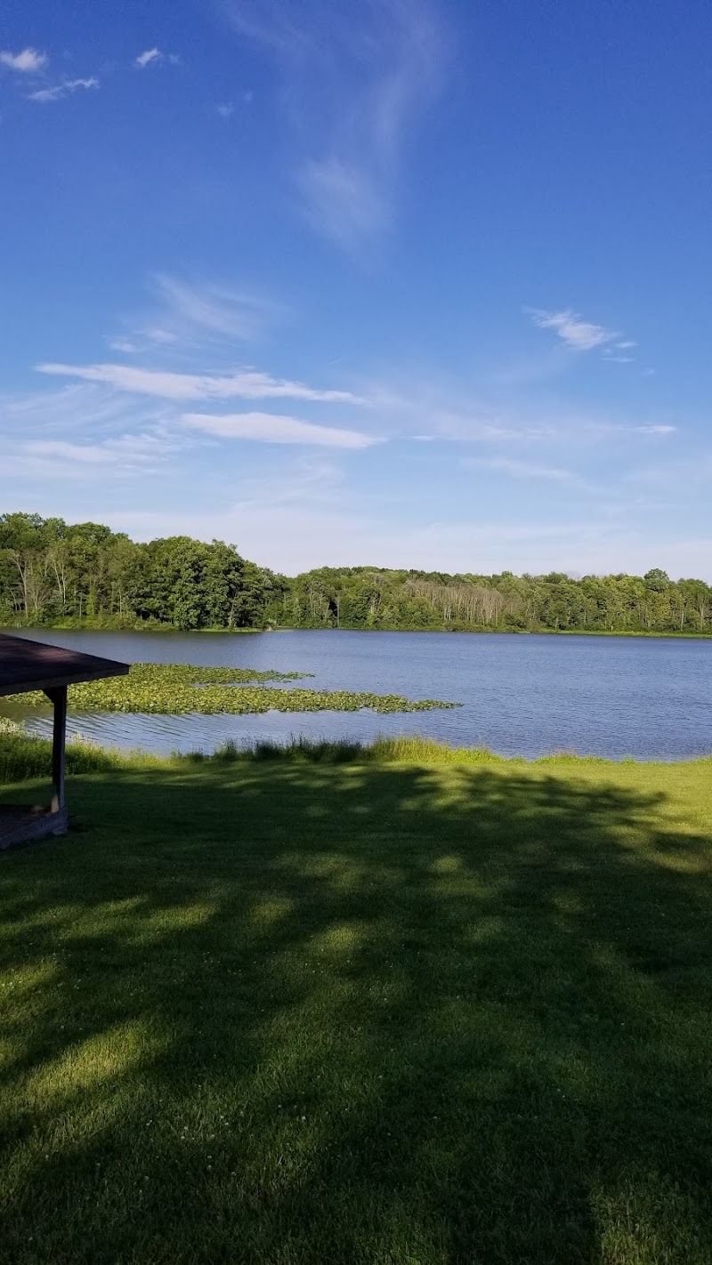 Tails 'n Trails Dog Park - Aurora, OH