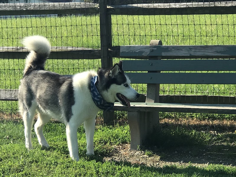 Tails 'n Trails Dog Park - Aurora, OH