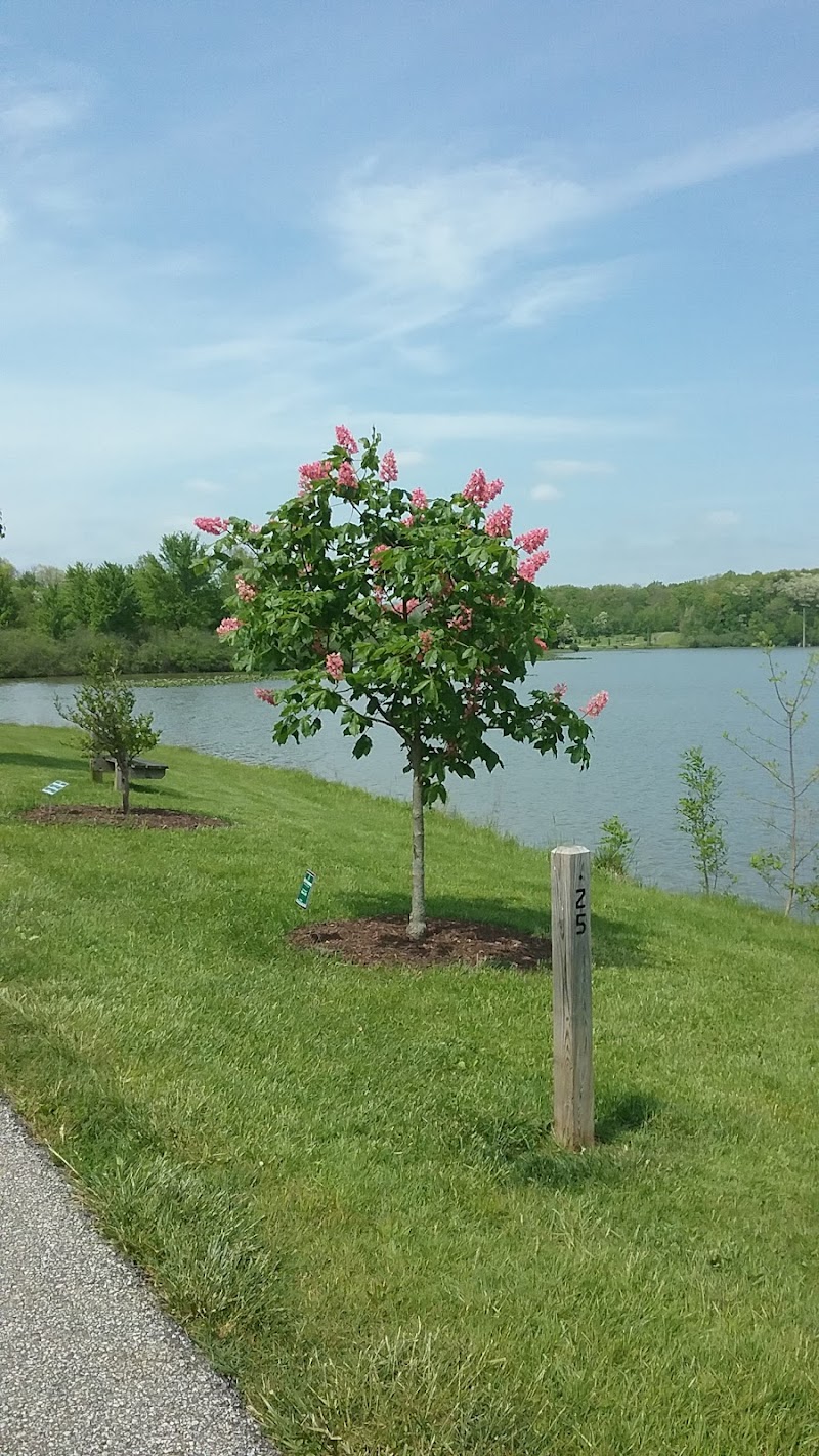 Tails 'n Trails Dog Park - Aurora, OH