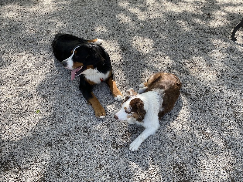 Avon Lake Dog Park - Avon Lake, OH