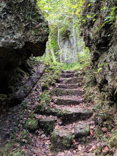 Highlands Nature Sanctuary - Bainbridge, OH