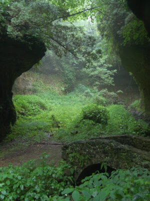 Highlands Nature Sanctuary