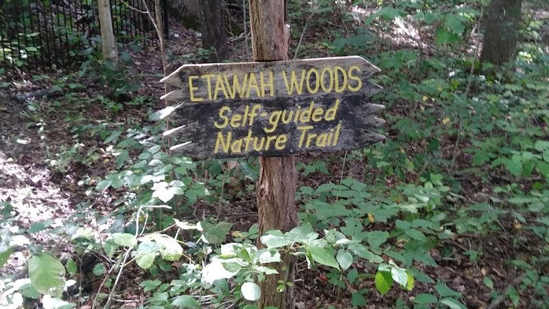 Highlands Nature Sanctuary - Bainbridge, OH