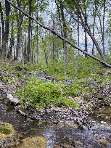 Kamelands Trailhead