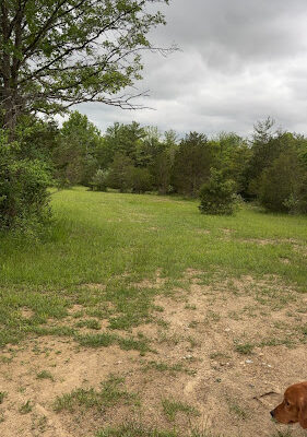 Paint Creek State Park