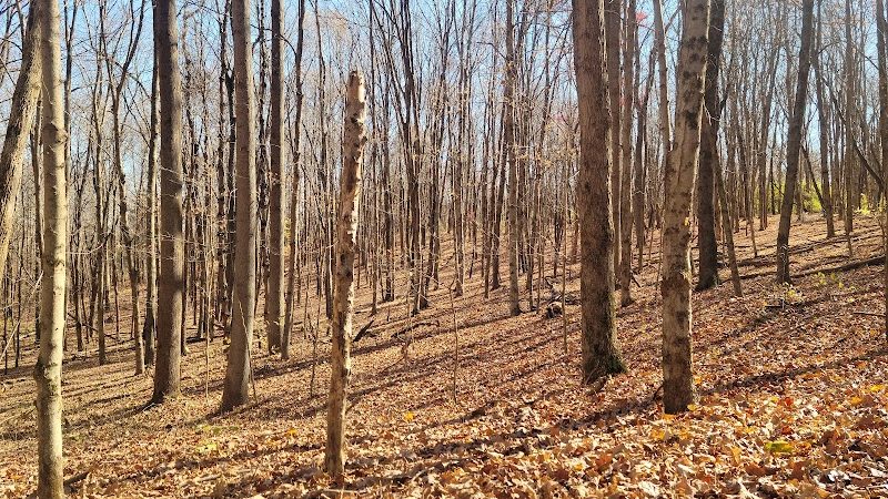 Paint Creek State Park - Bainbridge, OH