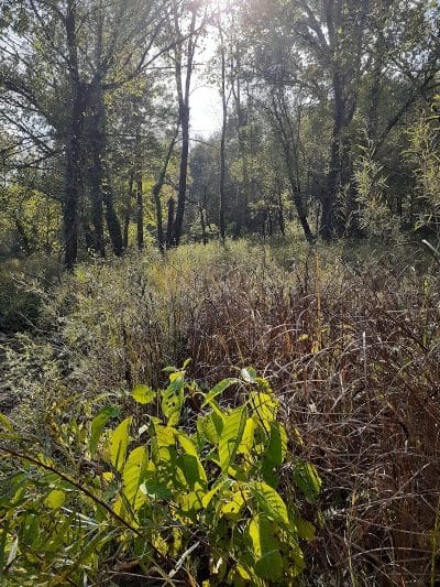 Paint Creek State Park - Bainbridge, OH